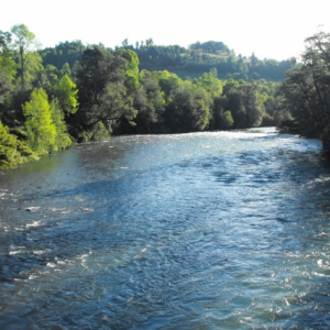 Comisión de Evaluación Ambiental Rechazó Proyecto hidroeléctrico Doña Alicia en Curacautín