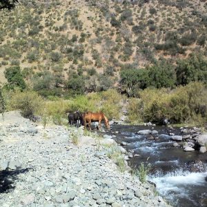 Chile será uno de los países más afectados por la crisis del agua el 2040