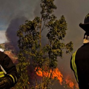 Gerente de eléctrica será formalizado por delito de incendio forestal ante falta de mantención